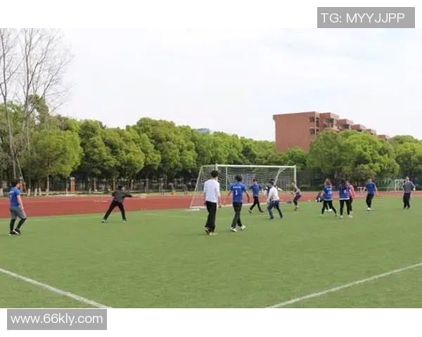 上海飞盘队个人能力分析与提升策略探讨