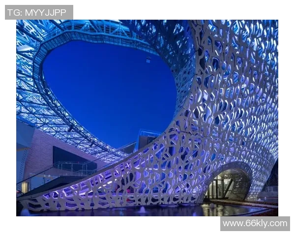 广州极限运动队在攀岩联赛中的个人能力表现全面分析与点评