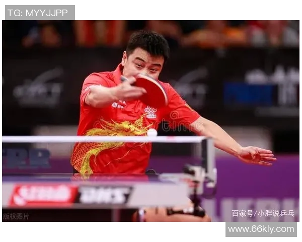 上海乒乓球队实力引发热议争议背后的训练与选手发展分析